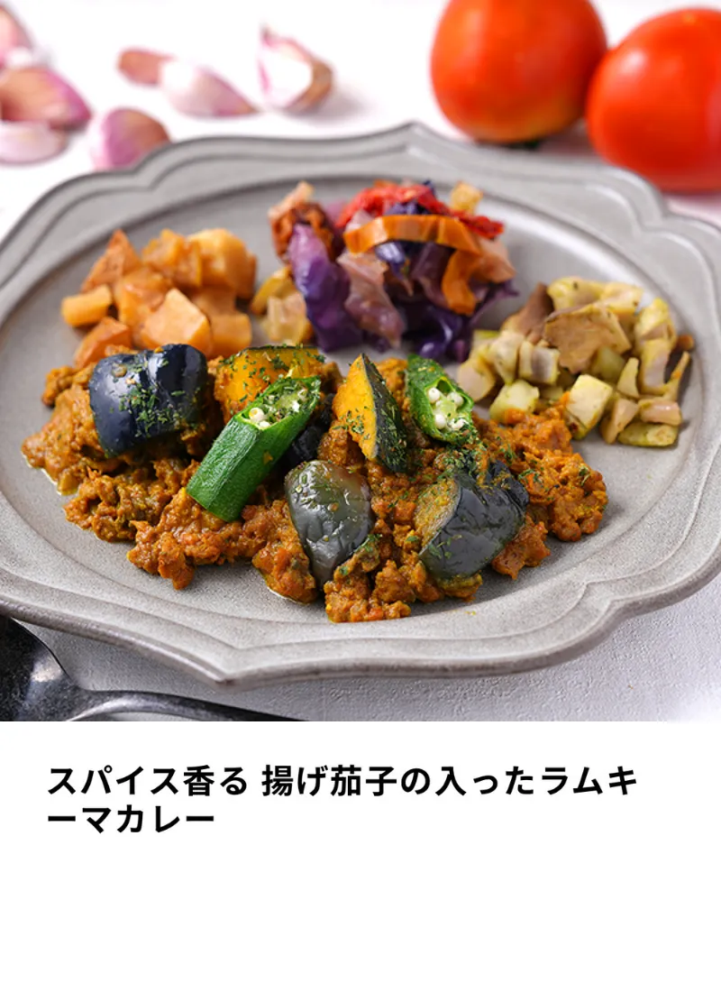 スパイス香る 揚げ茄子の入ったラムキーマカレー