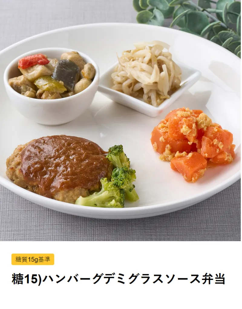 ハンバーグデミグラスソース弁当